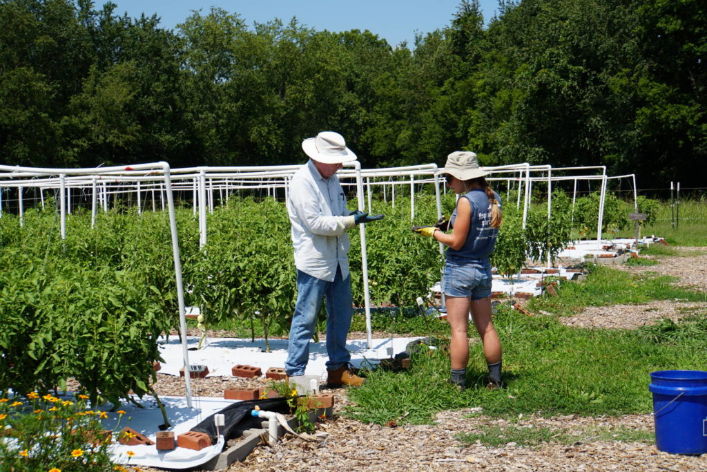 Giving Garden