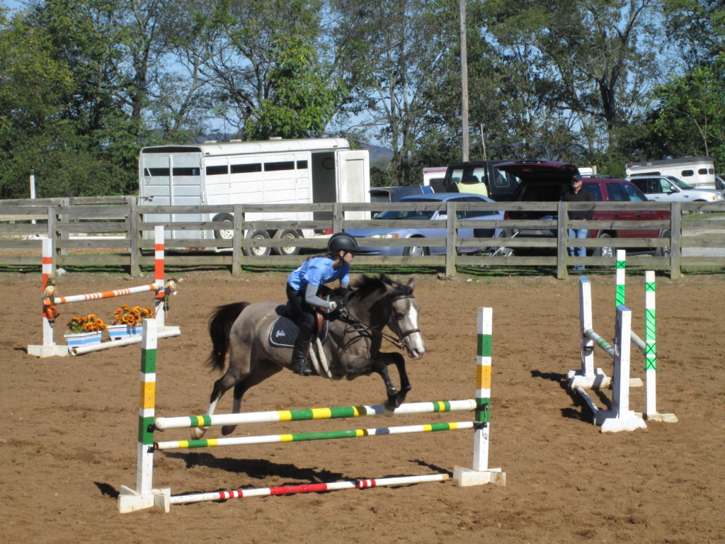 young girl on a horse running jumps on a course