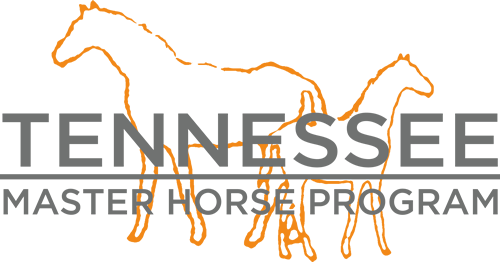 Master Horse logo