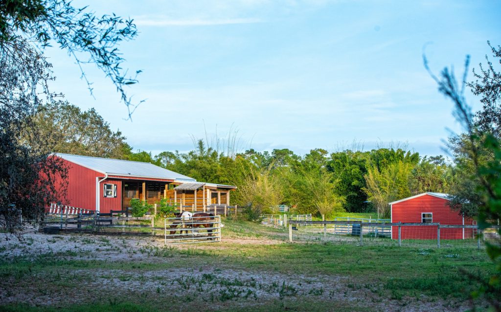 red barns