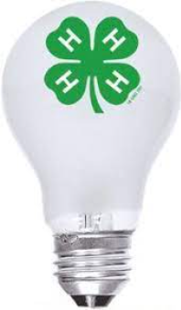 Lightbulb with a 4-H Clover