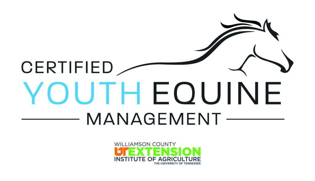 Youth Equine Management
