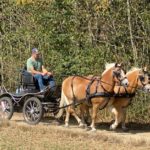 carriage driving