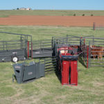 cattle handling equipment