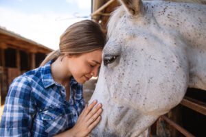 looking at a horse