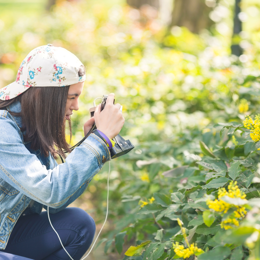 A teen girl takes photos of a bush of yellow flowers