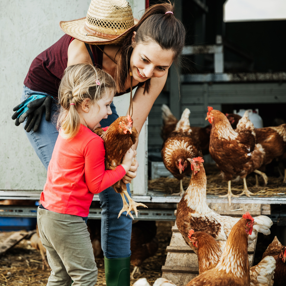 A woman helps a young girl hold a chicken for the first time