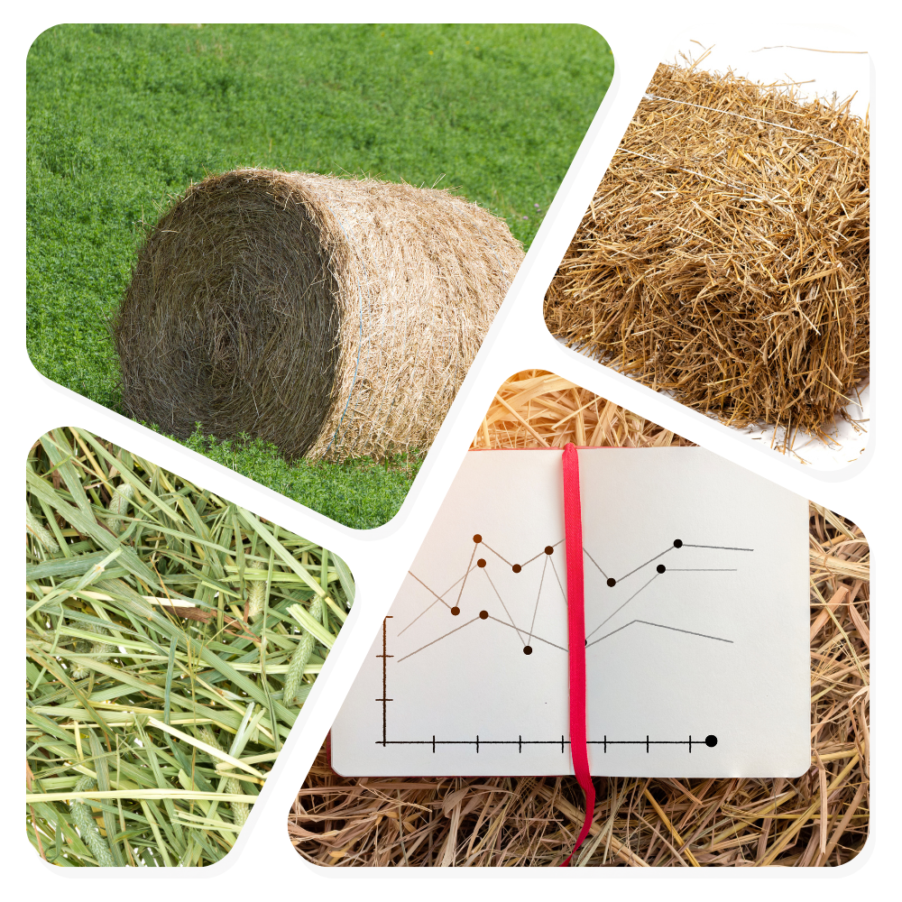 Different pictures of hay bales