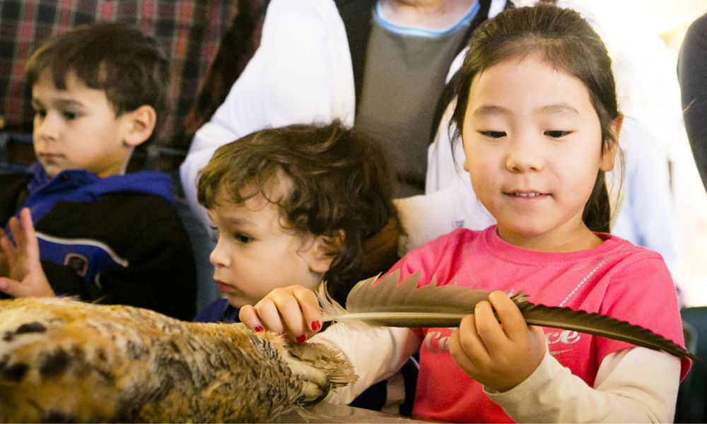 child learning about feathers and pelts