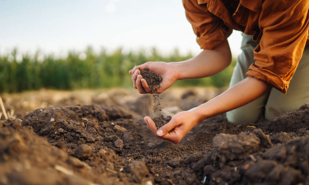 woman running dirt through her hands